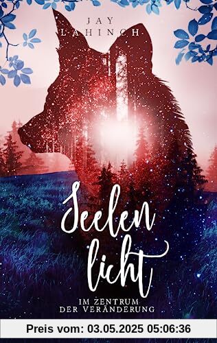 Seelenlicht: Im Zentrum der Veränderung (Seelenlicht-Dilogie - Band 2)
