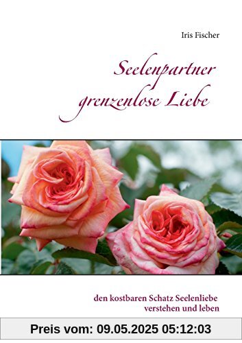 Seelenpartner grenzenlose Liebe: den kostbaren Schatz Seelenliebe verstehen und leben