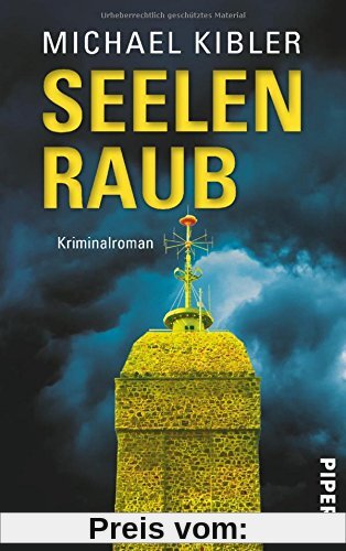 Seelenraub: Kriminalroman (Darmstadt-Krimis, Band 9)
