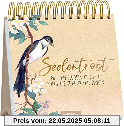 Seelentrost: Mit den Flügeln der Zeit fliegt die Traurigkeit davon Seelentrost: Mit den Flügeln der Zeit fliegt die Traurigkeit davon