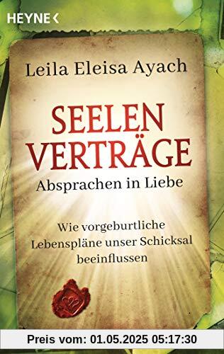 Seelenverträge. Absprachen in Liebe: Wie vorgeburtliche Lebenspläne unser Schicksal beeinflussen