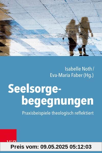 Seelsorgebegegnungen: Praxisbeispiele theologisch reflektiert