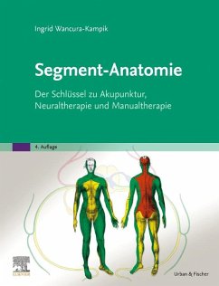 Segment-Anatomie von Elsevier, München