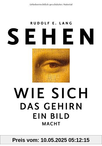 Sehen: Wie sich das Gehirn ein Bild macht
