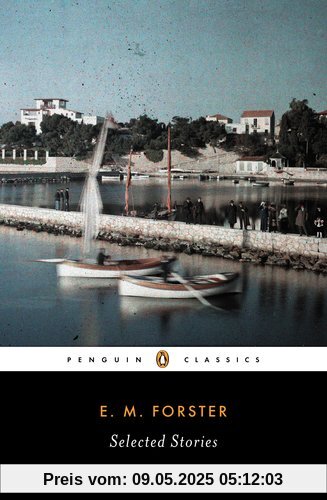 Selected Stories (Penguin Twentieth Century Classics)