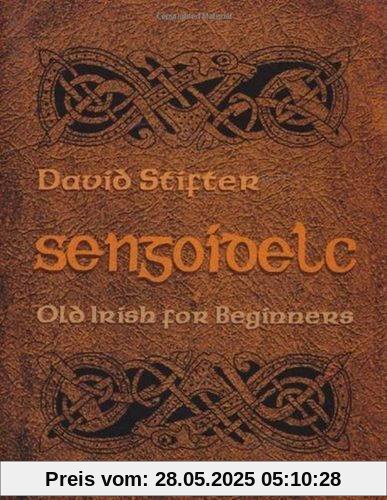 Sengoidelc: Old Irish for Beginners (Irish Studies)