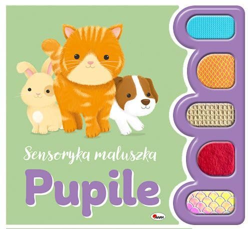 Sensoryka maluszka Pupile Sensoryka maluszka Pupile von AWM Agencja Wydawnicza