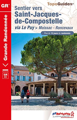 Sentier St-Jacques Moissac - Roncevaux GR65 +15 j.de rand (653): réf 653 (Grande Randonnée, Band 653)