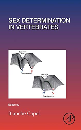 Sex Determination in Vertebrates (Volume 134) (Current Topics in Developmental Biology, Volume 134, Band 134)
