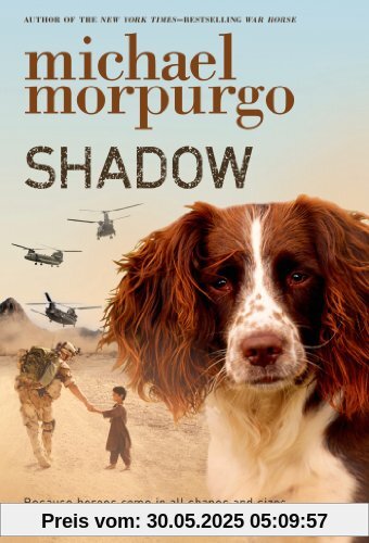 Shadow Shadow