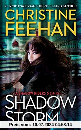 Shadow Storm (A Shadow Riders Novel, Band 6)