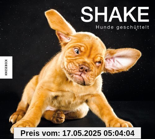 Shake Hunde geschüttelt
