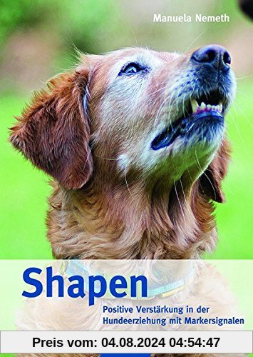 Shapen: Grundlagen - Methoden - Praxis