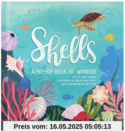 Shells: A Pop-Up Book of Wonder (4 Seasons of Pop-Up)