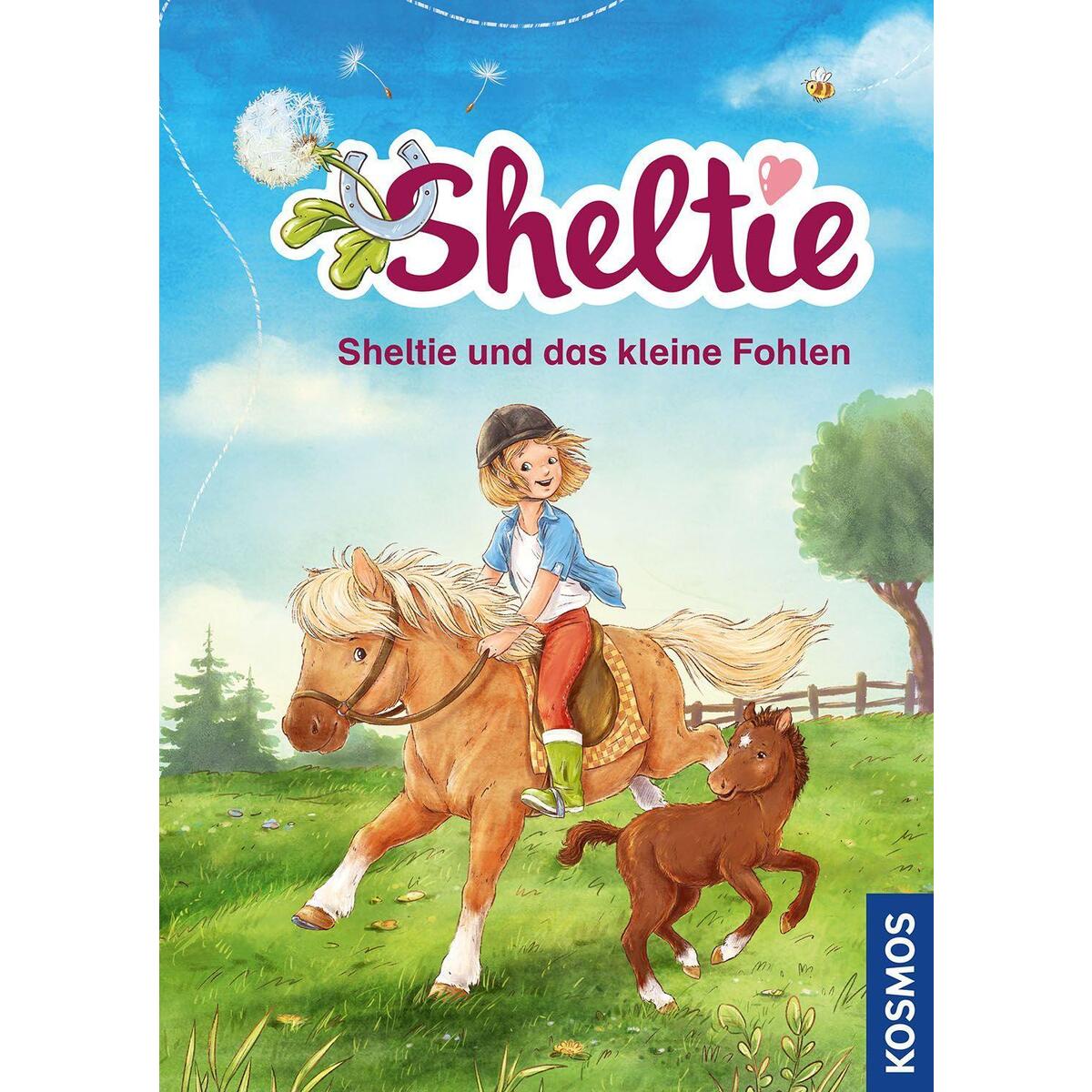 Sheltie - Sheltie und das kleine Fohlen von Franckh-Kosmos