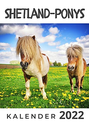 Shetland-Ponys: Kalender 2022 von 27 Amigos