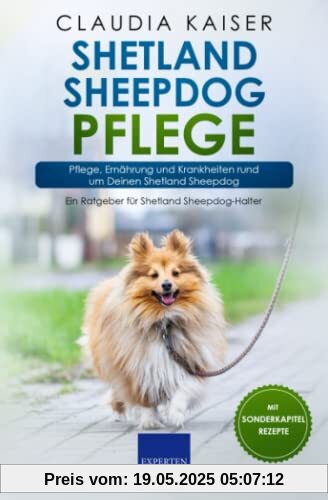 Shetland Sheepdog Pflege: Pflege, Ernährung und Krankheiten rund um Deinen Shetland Sheepdog