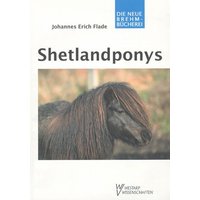 Shetlandponys