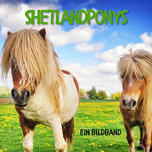Shetlandponys: Ein Bildband von 27amigos