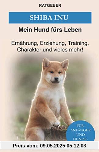 Shiba Inu: Erziehung, Training und Charakter von Shiba Inu Shiba Inu: Erziehung, Training und Charakter von Shiba Inu