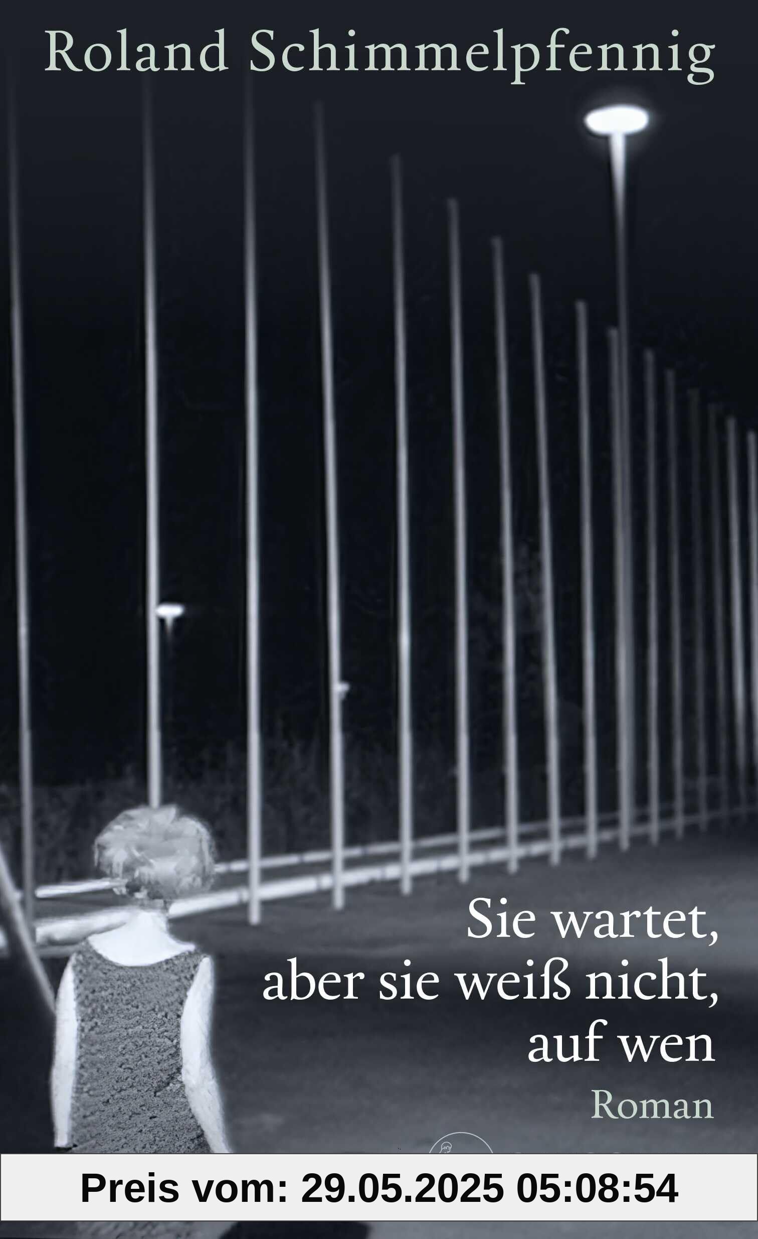 Sie wartet, aber sie weiß nicht, auf wen: Roman