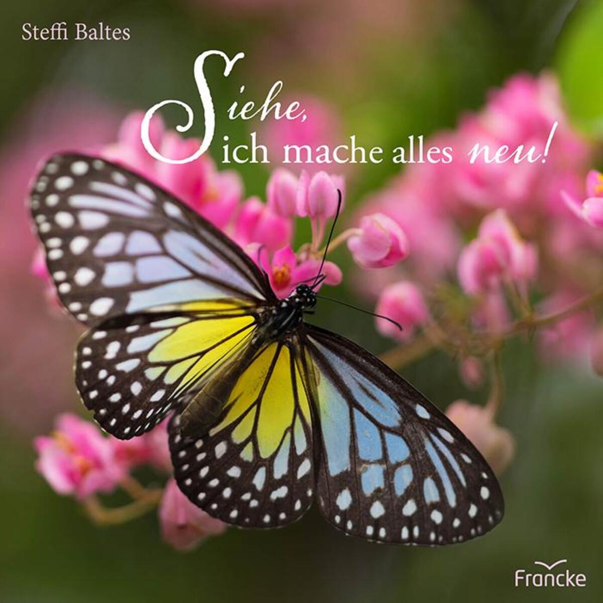 Siehe, ich mache alles neu! Siehe, ich mache alles neu! von Francke-Buch GmbH