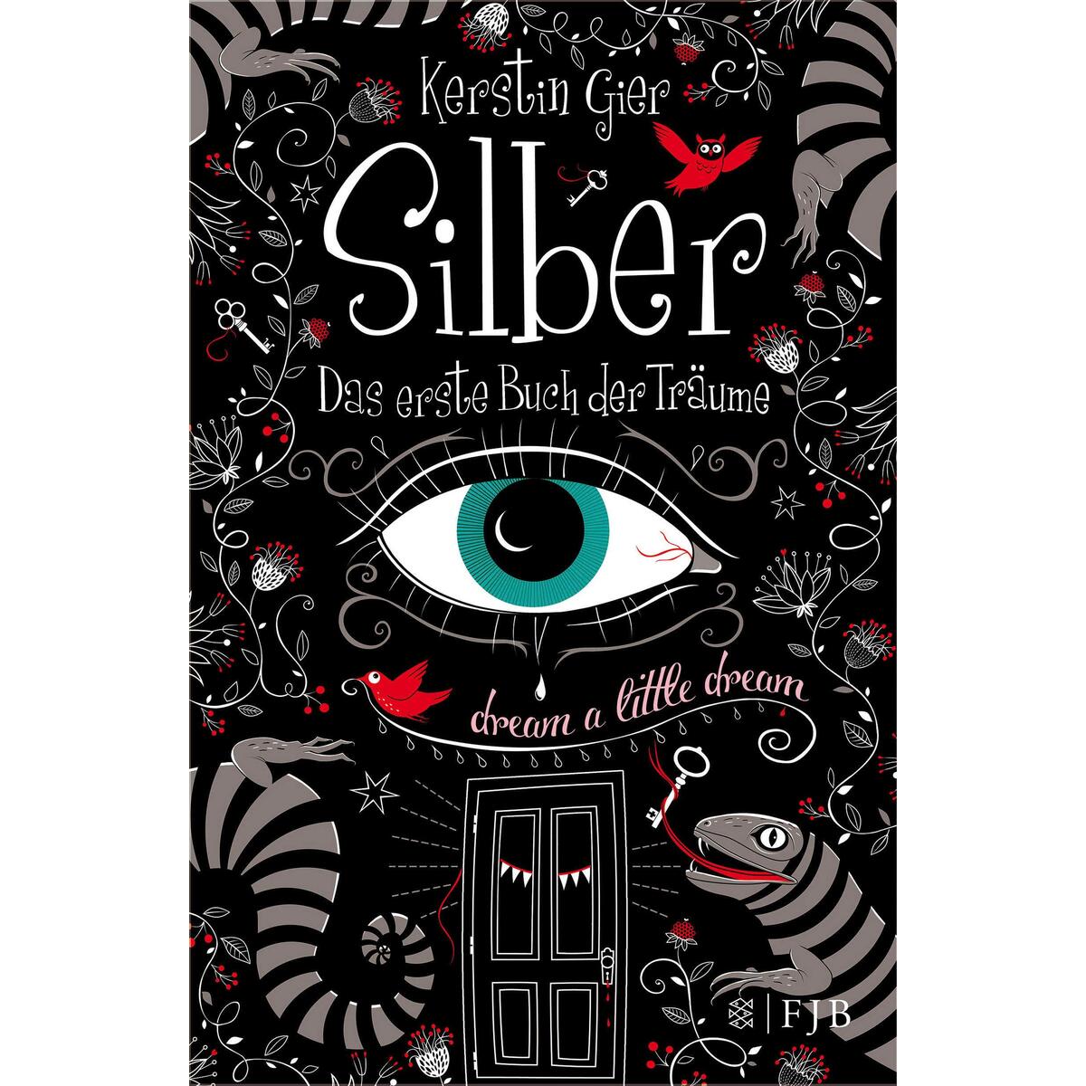 Silber - Das erste Buch der Träume von FISCHER FJB