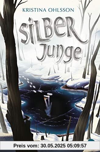 Silberjunge (Die Glaskinder-Reihe, Band 2)