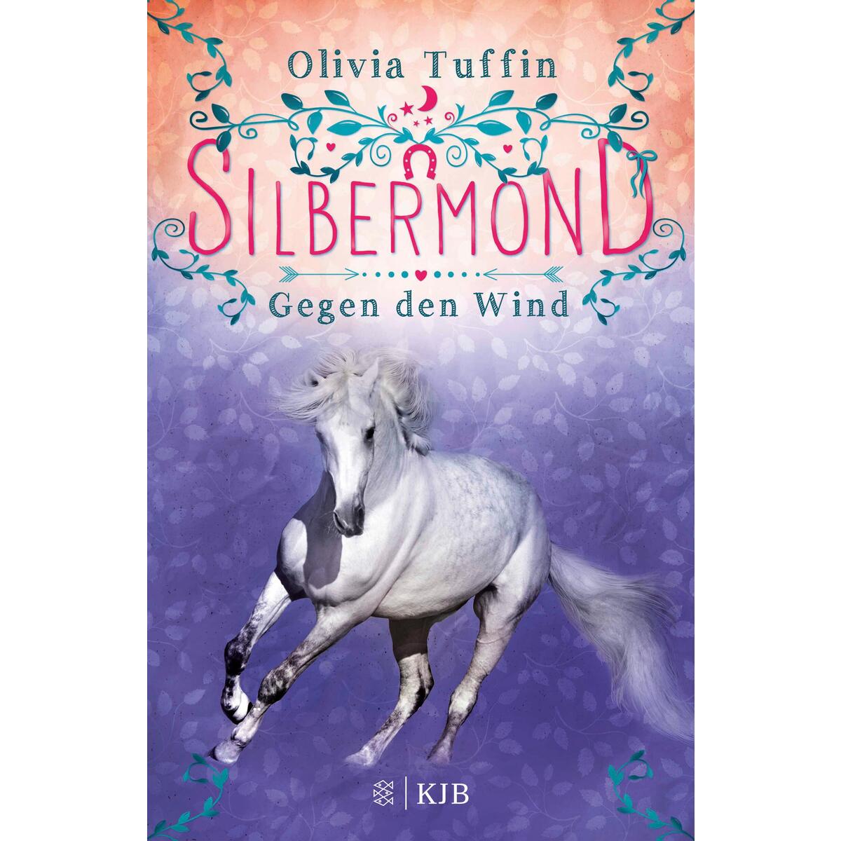 Silbermond: Gegen den Wind von FISCHER Sauerländer