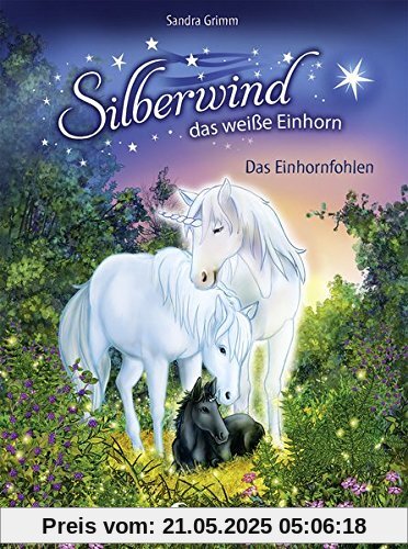 Silberwind, das weiße Einhorn - Das Einhornfohlen