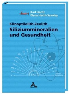Siliziummineralien und Gesundheit von Spurbuchverlag