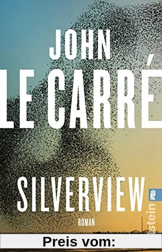 Silverview: Roman | „Der wohl größte englische Autor seiner Generation.“ The Guardian