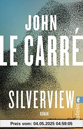 Silverview: Roman | „Der wohl größte englische Autor seiner Generation.“ The Guardian