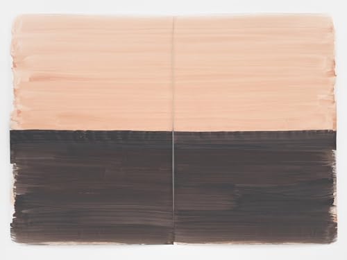 Silvia Bächli: Dass eins zum andern wurde. Welches welches ist?: Kat. Kunst Museum Winterthur Silvia Bächli: Dass eins zum andern wurde. Welches welches ist?: Kat. Kunst Museum Winterthur von SNOECK GENT
