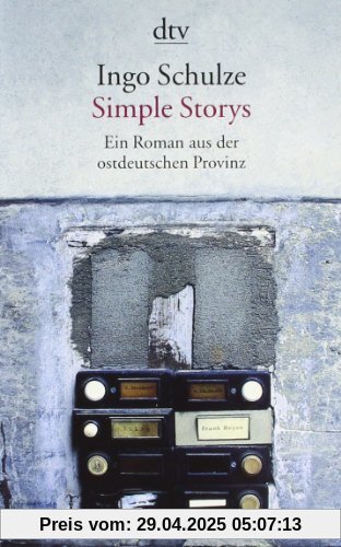 Simple Storys: Ein Roman aus der ostdeutschen Provinz (DTV)