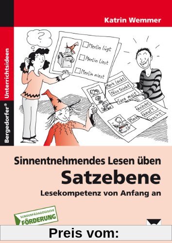 Sinnentnehmendes Lesen üben: Satzebene: Lesekompetenz von Anfang an. 2. - 4. Klasse Förderschule