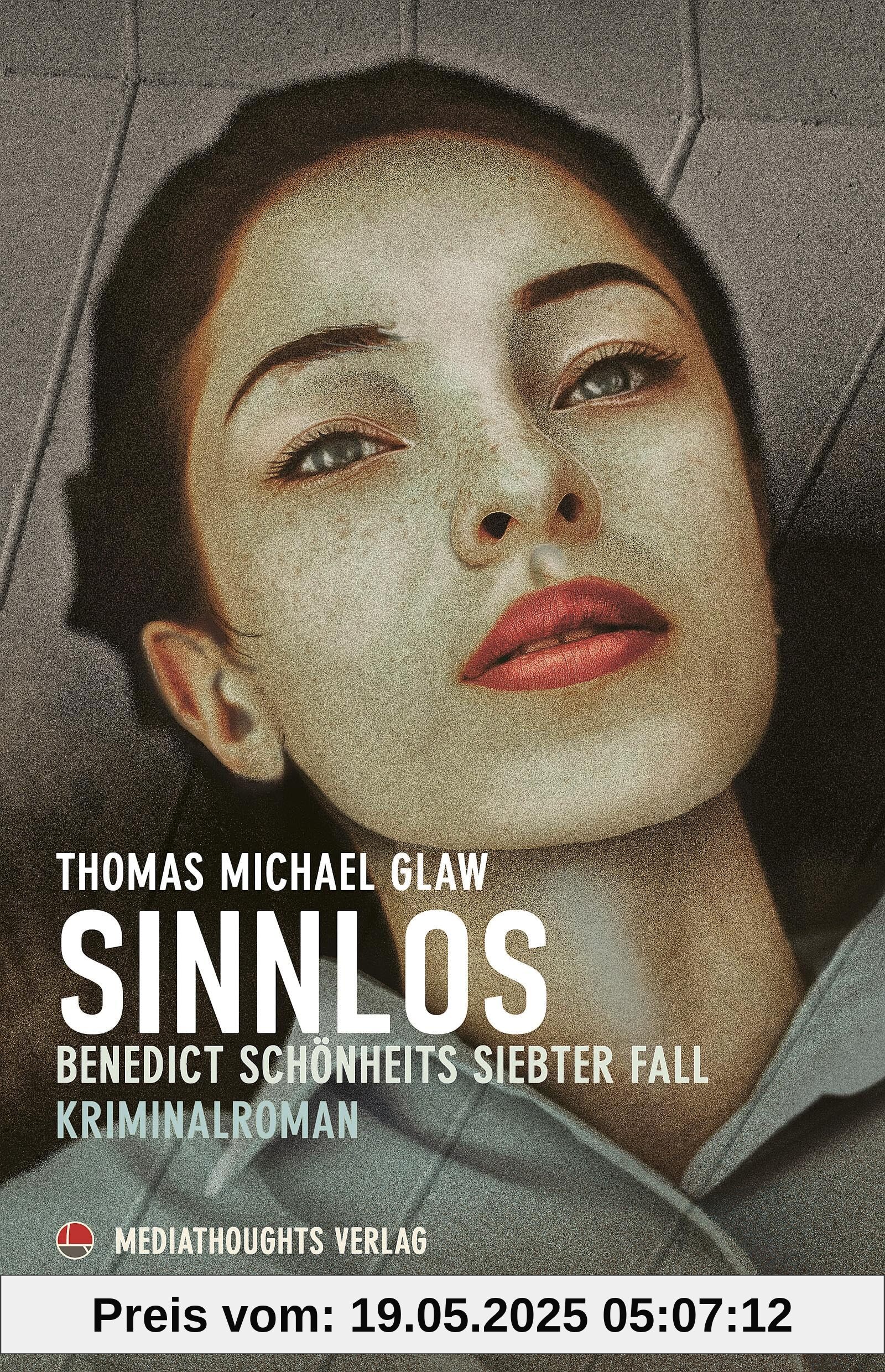Sinnlos: Benedict Schönheits siebter Fall (Benedict Schönheit ermittelt)