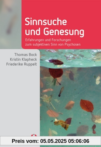 Sinnsuche und Genesung: Erfahrungen und Forschungen zum subjektiven Sinn von Psychosen