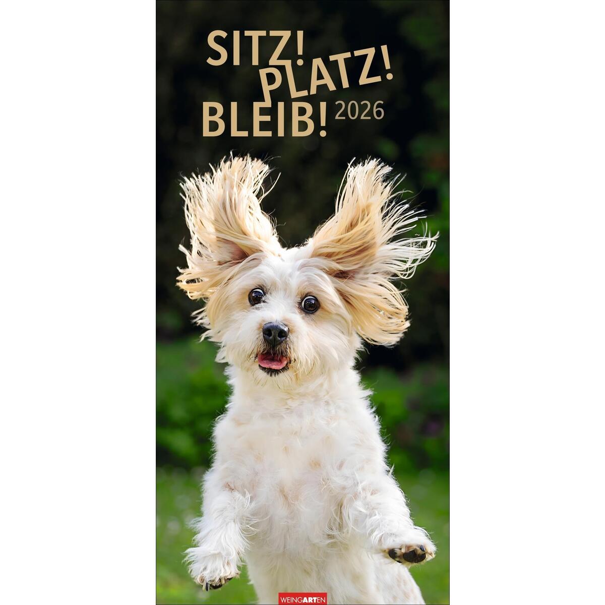 Sitz! Platz! Bleib! Kalender 2026 Sitz! Platz! Bleib! Kalender 2026 von Weingarten