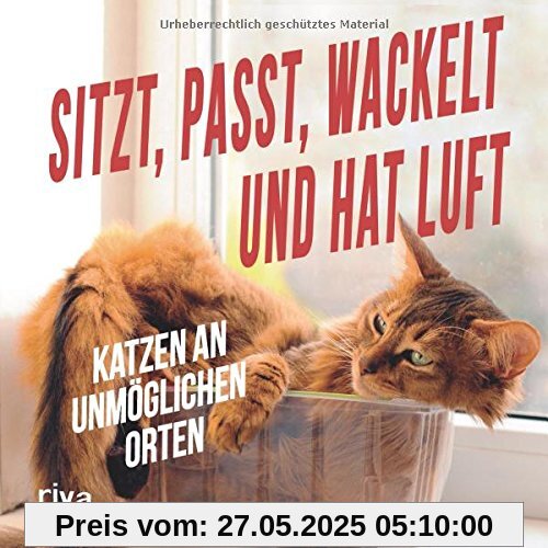 Sitzt, passt, wackelt und hat Luft: Katzen an unmöglichen Orten Sitzt, passt, wackelt und hat Luft: Katzen an unmöglichen Orten