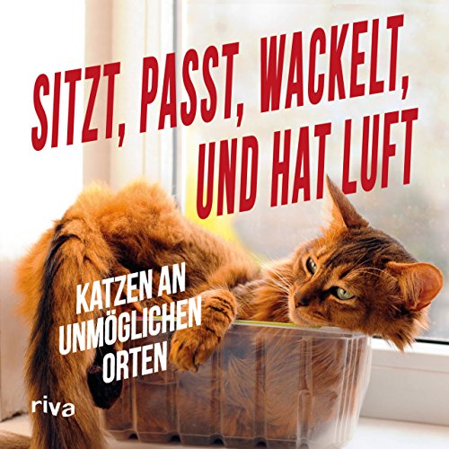 Sitzt, passt, wackelt und hat Luft: Katzen an unmöglichen Orten