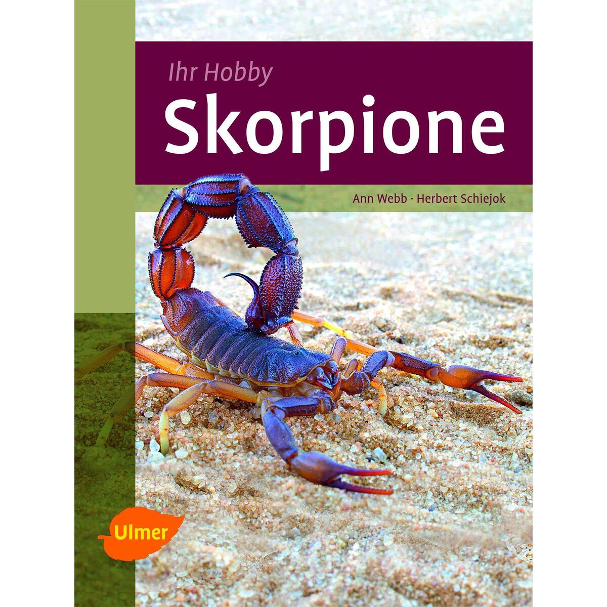 Skorpione von Ulmer Eugen Verlag