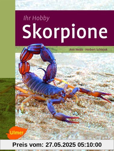 Skorpione