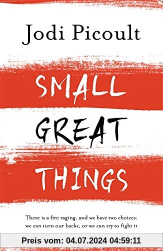 Small Great Things: 'To Kill a Mockingbird for the 21st Century'