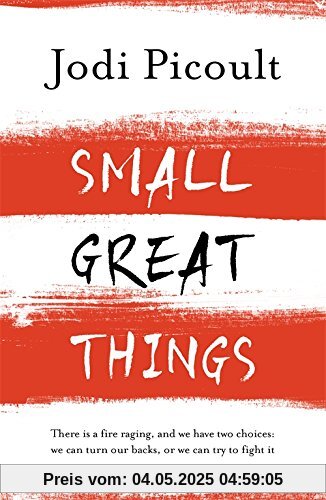 Small Great Things: 'To Kill a Mockingbird for the 21st Century'