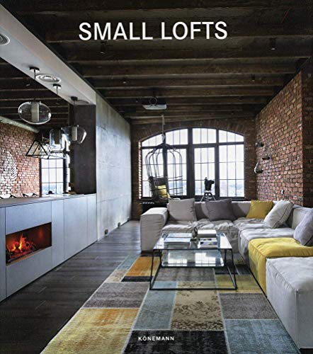 Small Lofts (Contemporary Architecture & Interiors)