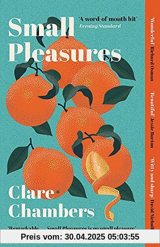 Small Pleasures: The BBC 2 Between the Covers Pick and BBC Radio 4 Book at Bedtime: Longlisted for the Women's Prize for Fiction 2021