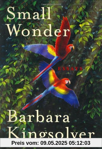 Small Wonder: Essays