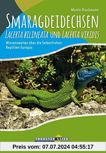 Smaragdeidechsen Lacerta bilineata und Lacerta viridis: Wissenswertes über die farbenfrohen Reptilien Europas