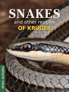 Snakes and other reptiles of Kruger (eBook, ePUB) von Penguin Random House South Africa